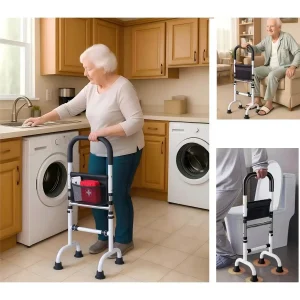 Couch Cane Stand Assist Rail