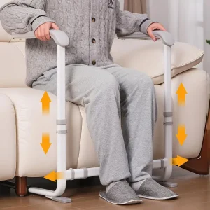 Stand Assist with Dual Handrails